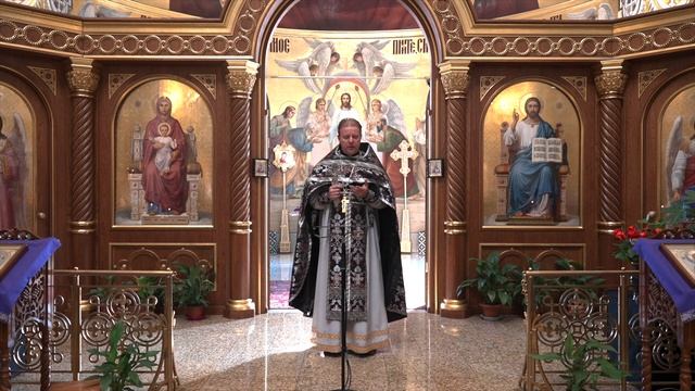 Дух Великого поста. Проповедь священника Димитрия Лушникова. смотреть онлайн