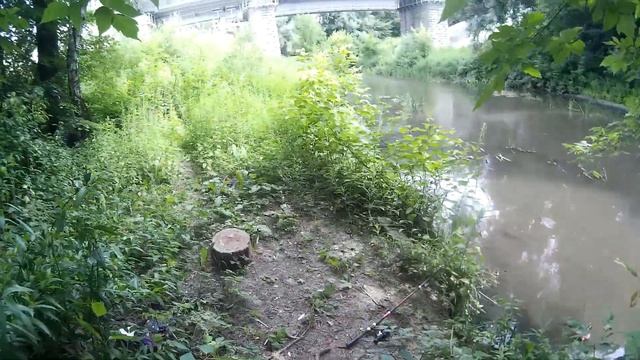 Рыбалка на реке Яуза. Впервые рыбалка в черте Москвы. смотреть онлайн