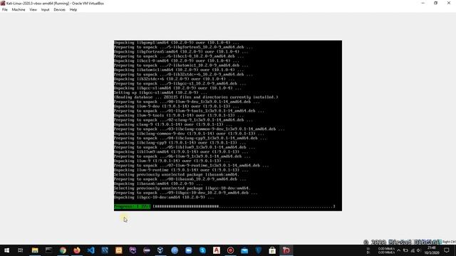 How to fix black screen after upgrade Kali Linux 2020.3 смотреть онлайн