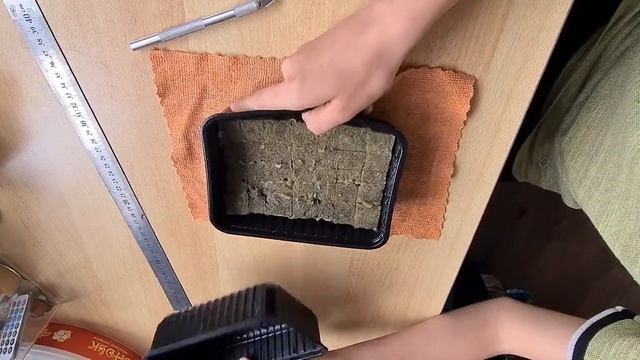 Посадка рассады в каменную вату смотреть онлайн