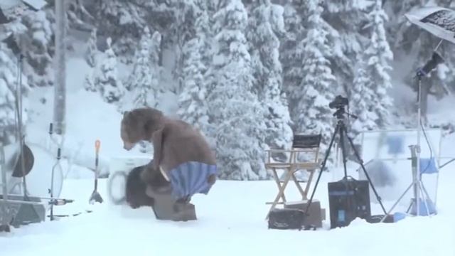 Медведь появился на съемках ролика смотреть онлайн