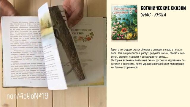 NF/19. Видеообзор. Ботанические сказки