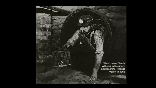 EPA NIH CDC set up to HIDE NUCLEAR CRIMES смотреть онлайн