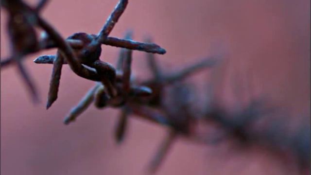 Fernando Lopes-Graça - " Recordai, ó irmãos meus" (Monsanto,Beira-Baixa) 4 de 11 смотреть онлайн