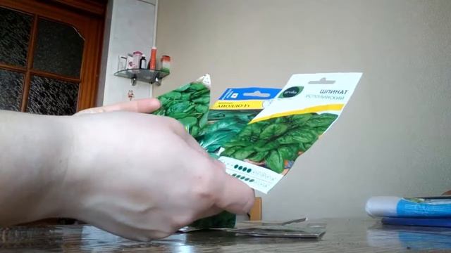 Творческий Путь