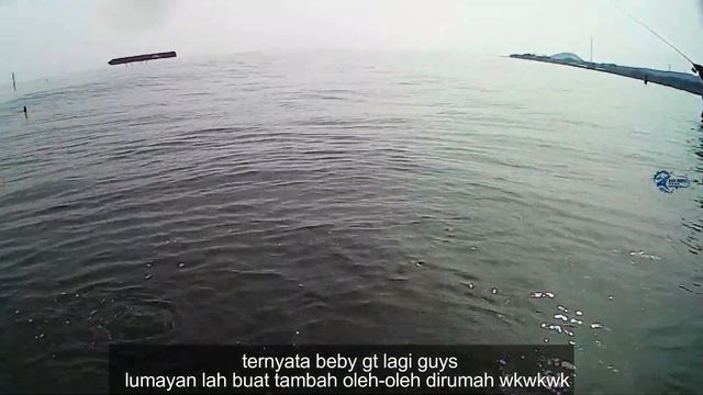 MUSIM BARATAN GINI IKANNYA TAMBAH RAKUS - EXTRIME ULTRALIGHT CASTING смотреть онлайн