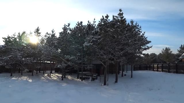 Мы купили нутрий смотреть онлайн