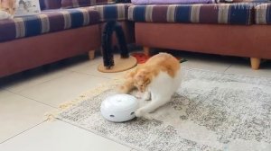 лучшие товары с алиэкспресс