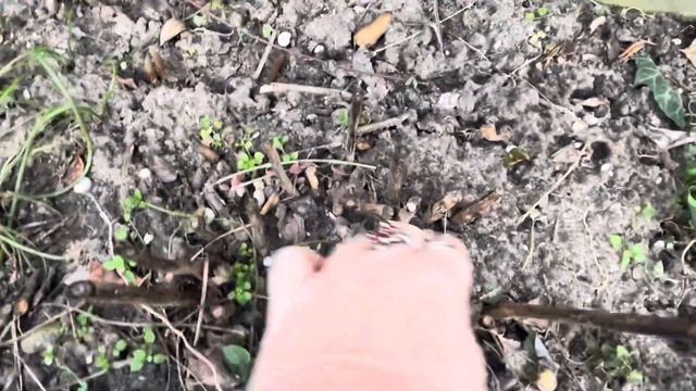 Погуляла и ПОГНАЛА ! смотреть онлайн