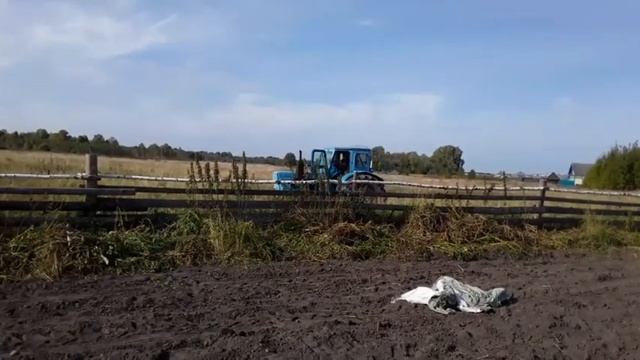 Копаем картошку по новому. Плохой урожай. смотреть онлайн