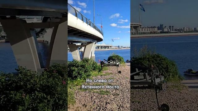 Прогулка с собакой. Парк 300-летия Санкт-Петербура