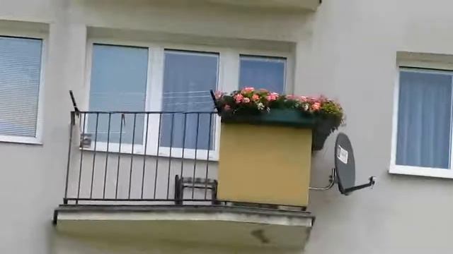 Балконы смотреть онлайн