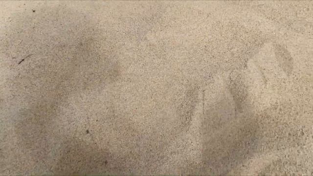 Пляжный поиск с металлоискателем смотреть онлайн
