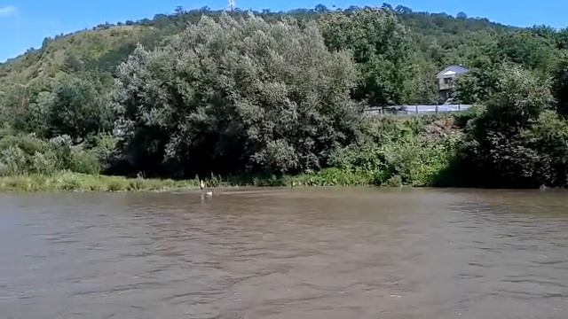 Быстрая река / Fast river смотреть онлайн
