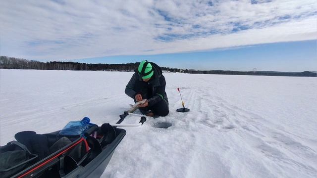 Поставил ЖЕРЛИЦЫ и попал на ЩУКУ!!! Откуда столько сработок?! Ловля щуки на жерлицы 2023. смотреть онлайн