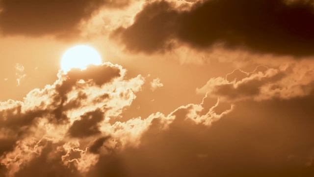 This changed everything! EcoFlow WAVE 2 смотреть онлайн