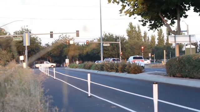 США, Сан Франциско Канадские казарки на поле в черте города 23 09 2015 Съемка Владислав Корото смотреть онлайн