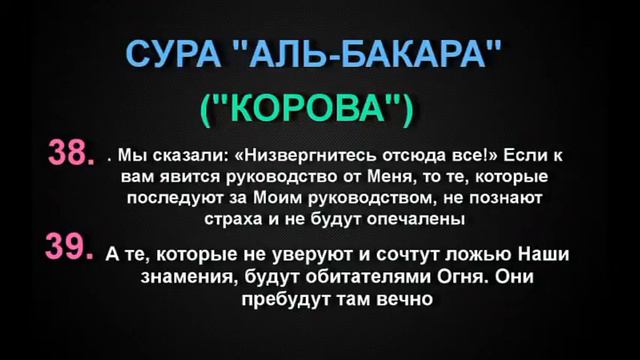 СУРА "АЛЬ-БАКАРА" ("КОРОВА") аят - 38-39 смотреть онлайн