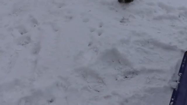 Panasonic hc v770 test смотреть онлайн