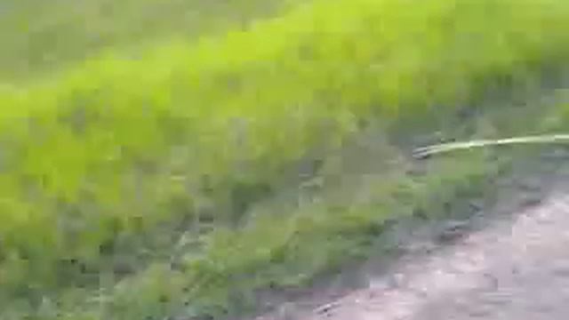 Квадрик из Днепра дизельный едим в лес смотреть онлайн