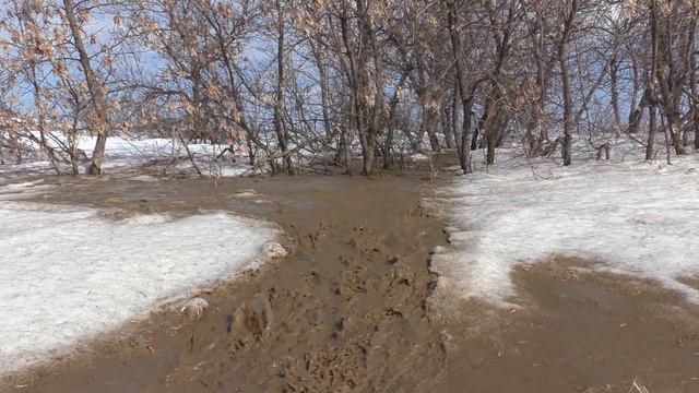Синегорье в марте. Как проходит весна в районе Синегорья. смотреть онлайн