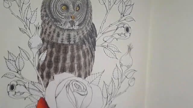 МОЯ КОЛЛЕКЦИЯ РАСКРАСОК/ЧАСТЬ #5/РАСКРАСКИ АНТИСТРЕСС/РАСКРАСКИ ДЛЯ ВЗРОСЛЫХ