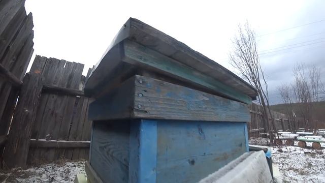 МАСШТАБНЫЙ ЭКСПЕРИМЕНТ, ЗИМОВКА ПЧЁЛ, КАК НАХОДИТСЯ КЛУБ ПЧЁЛ В ДЕКАБРЕ. Часть №16. смотреть онлайн