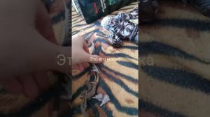 моя новая фигурка хищника от нека.