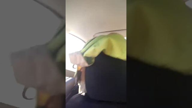 Западный скоростной диаметр смотреть онлайн