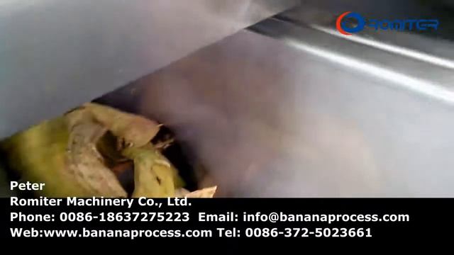 Automatic Integrated Banana Peeling and Pulping Machine for Banana Puree Making Line смотреть онлайн