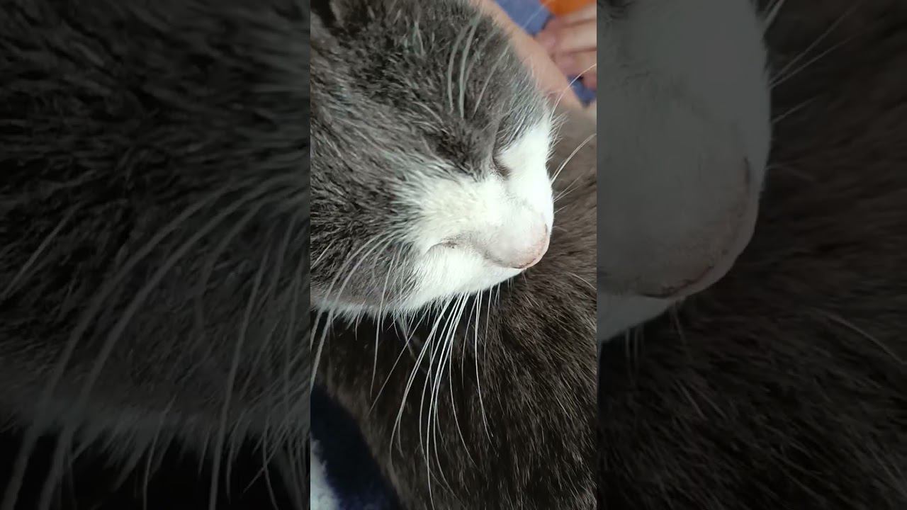 1 октября 2023 г. смотреть онлайн