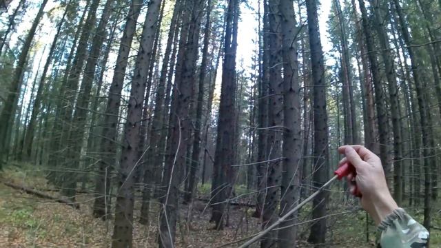 Первый в этом сезоне! (Пока как-то так.) смотреть онлайн