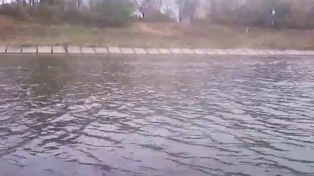 на 5 и сильном хондекс по икшинскому вдхр смотреть онлайн