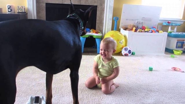 10 Пород собак опасных для семей с детьми смотреть онлайн