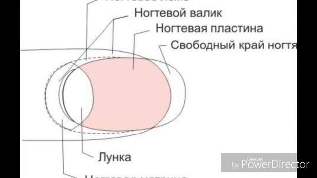 ОЧЕНЬ ИНТЕРЕСНЫЕ ВОПРОСЫ, О КОТОРЫХ ВЫ ДАЖЕ НЕ ДОГАДЫВАЛИСЬ! смотреть онлайн