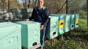 Нижняя вентиляция в ульях ППС