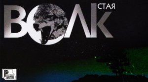 Волк - Стая (Альбом 2004) | Русский Шансон