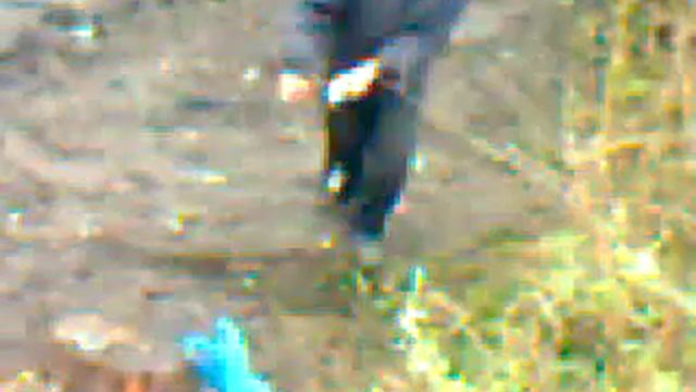 Медвенские рыбаки смотреть онлайн