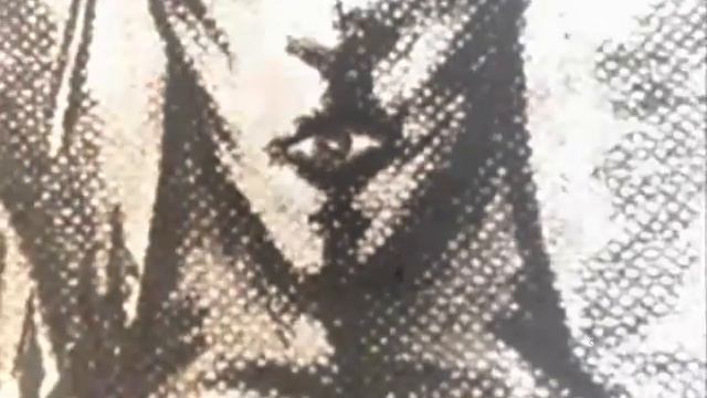 ARTHWORK SILENT LUCIDITY смотреть онлайн