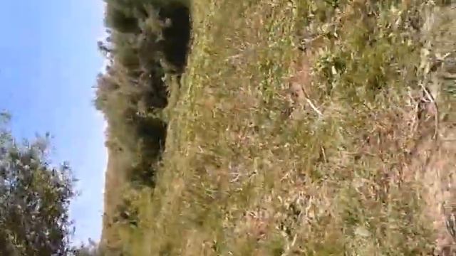 Жангала рыбалка пятимар смотреть онлайн