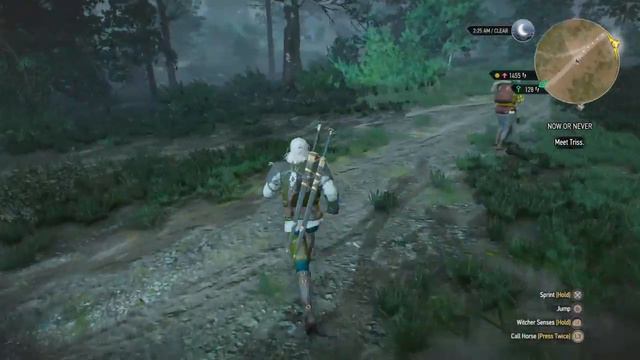The Witcher 3: Wild Hunt - [Trader Glitch] смотреть онлайн