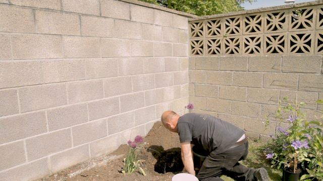 Creative Climbers with Floyds - The best way to plant a Clematis смотреть онлайн