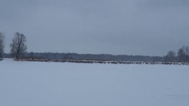 Русич гДимитровград. смотреть онлайн