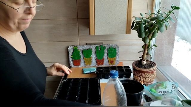 Зелень - цілий рік. Крок 2. Петрушка та кріп на підвіконні. смотреть онлайн