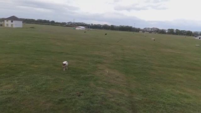 Как сделать 12м аквагорку дома своими руками за 10 тыс гривен смотреть онлайн