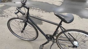 Электра лофт 1 на планетарной втулке Shimano nexus 8
