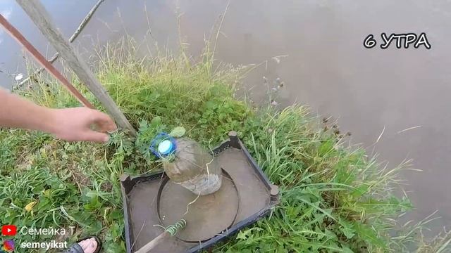 Раколовка и раки в своём домашнем пруду на участке в этом году. Раки живут в выкопанном пруду смотреть онлайн