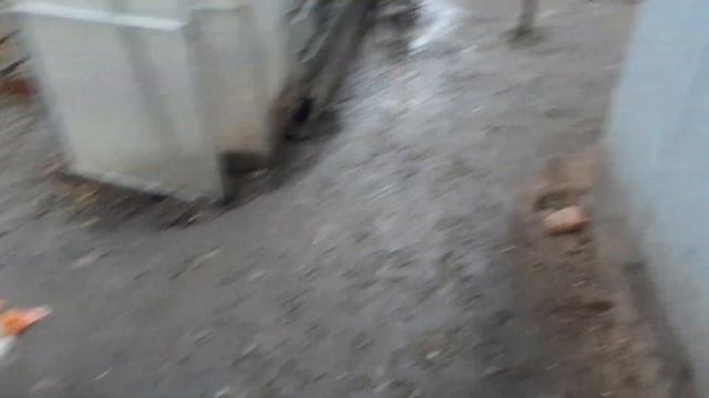 Домашняя птица зимой. 22.12.19 смотреть онлайн