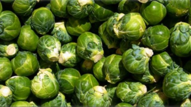 Лучшие сорта брюссельской капусты для вашего огорода смотреть онлайн