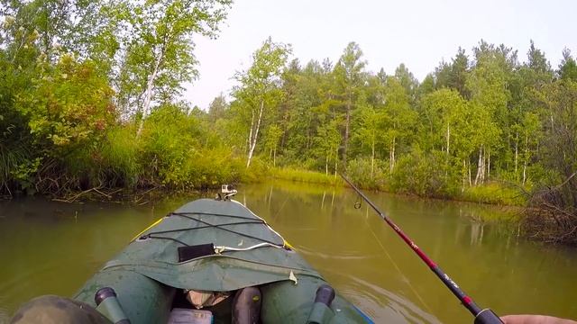 Лягушка-незацепляйка в деле. Неожиданная удача на лесной речке! Рыбалка на лягушку в траве. смотреть онлайн